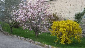 15-IMG_422-1