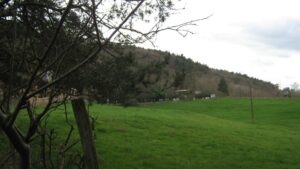 2-IMG_422-1