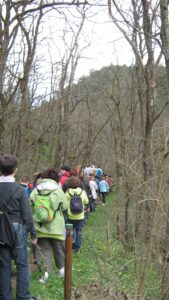 4-IMG_422-1