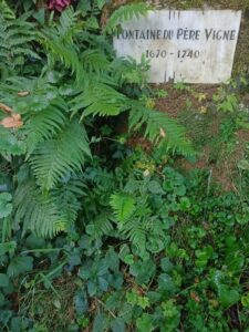 IMG-20250630-WA0028